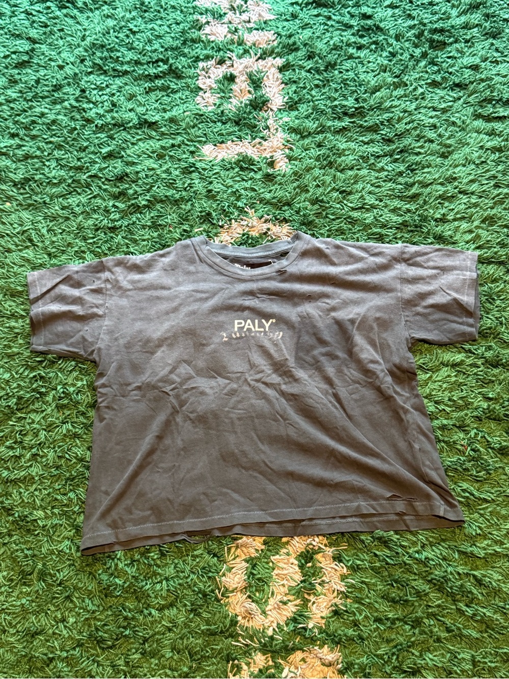 Men's Short Sleeve Tee in Gray with Center Logo